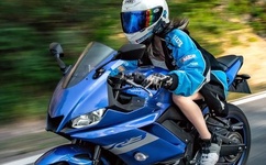 至尊神眼电视剧免费观看